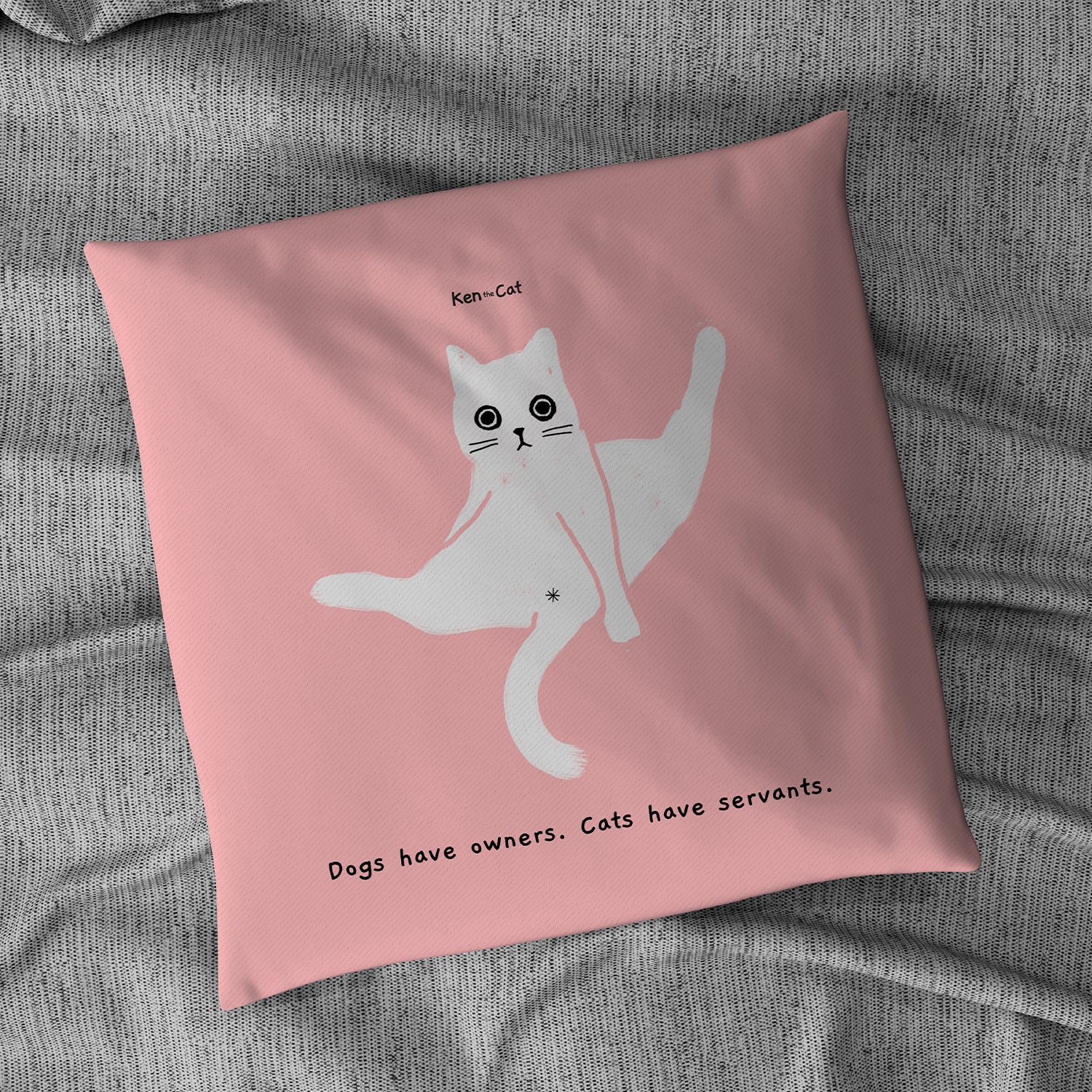 Ken the Cat Pink Cushion