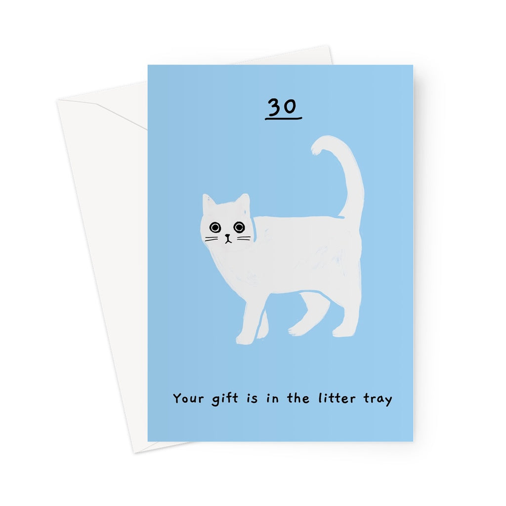 Ken the cat funny 30th birthday card in blue - your gift is in the litter tray