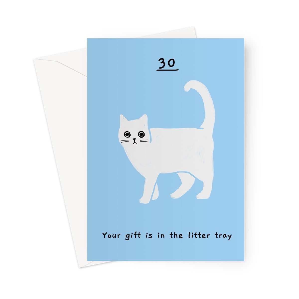 Ken the cat funny 30th birthday card in blue - your gift is in the litter tray