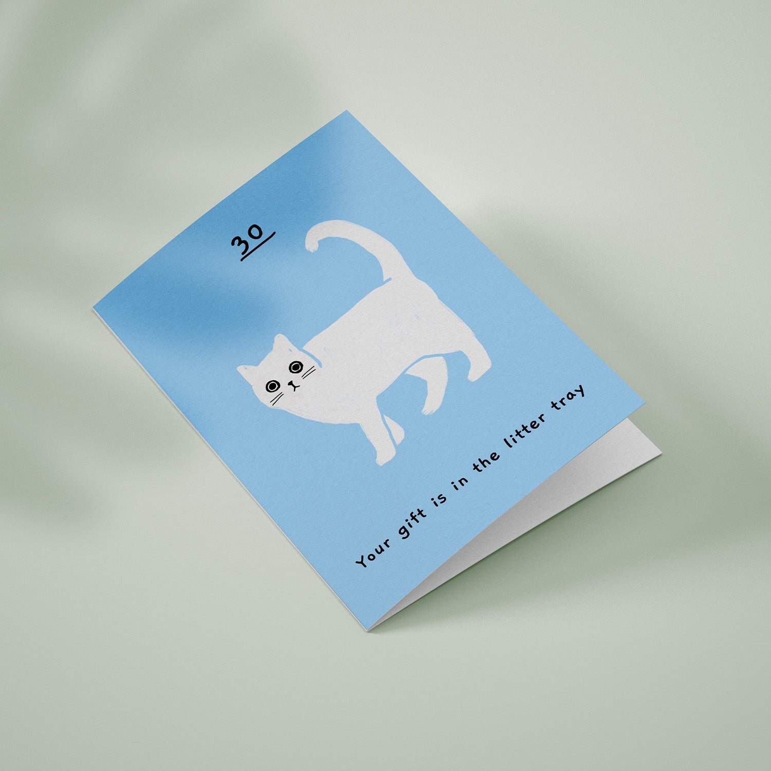 Ken the cat funny 30th birthday card in blue - your gift is in the litter tray