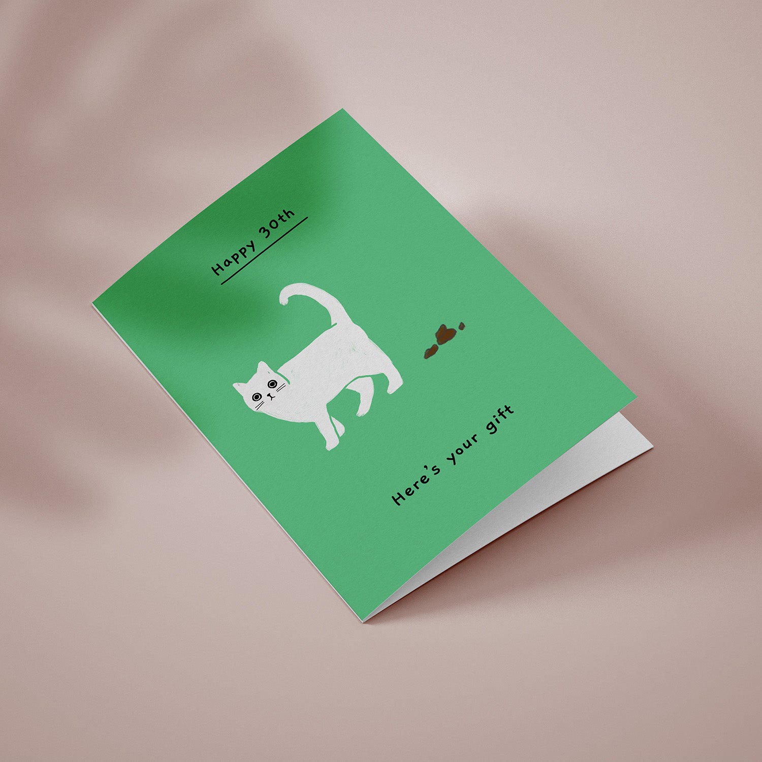 Ken the cat funny 30th birthday card in green - here's your gift