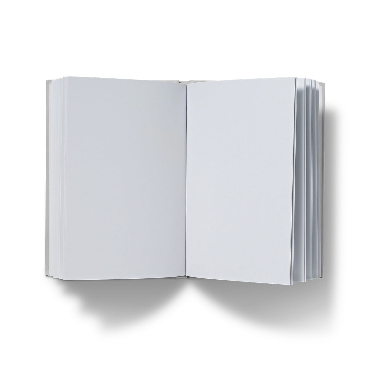 Ken the Cat I want you to draw me like one of your french girls pink A5 hardback journal plain paper