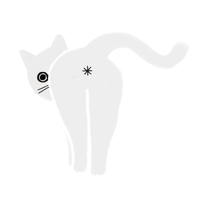 Ken the cat